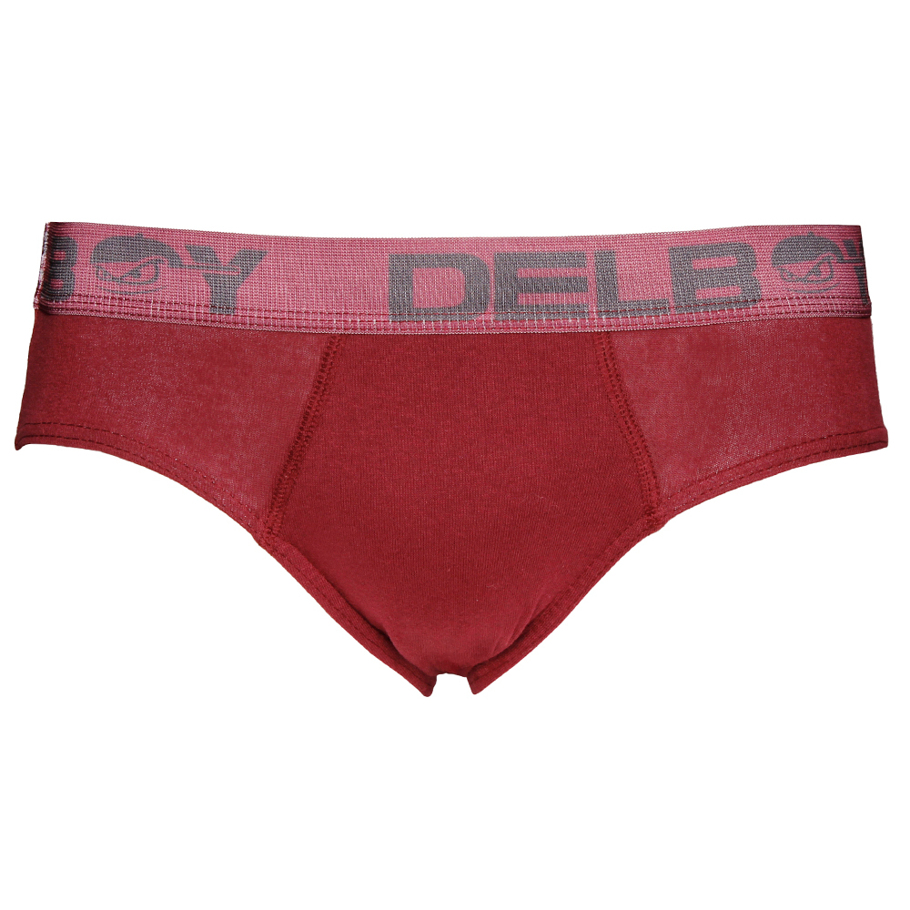 Cueca Slip Adulto De Algodão El Shadai - Imagem 3