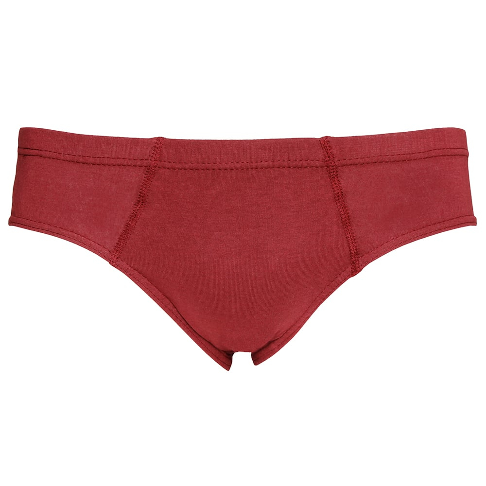 Cueca Slip Adulto Em Algodão El Shaday - Imagem 2