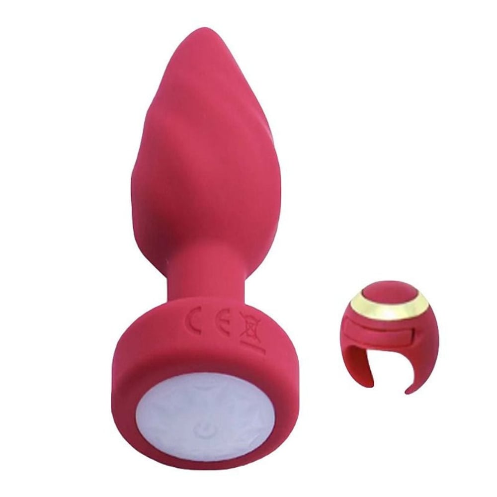 Plug Anal Com Touch E Controle Remoto Em Formato De Anel Vibe Toys - Imagem 3