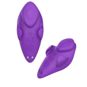 Vibrador De Calcinha Feiyan 9 Modos De Vibração Com Controle Remoto Via App